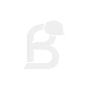 Basso Company Logo